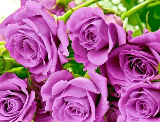 [生肖]“仙女”转世的三种生肖女，年纪变大魅力不减反增，超乎想象