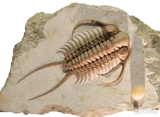 科学家|科学家发现了数亿年前不该存在的东西,人类是否要警惕呢?