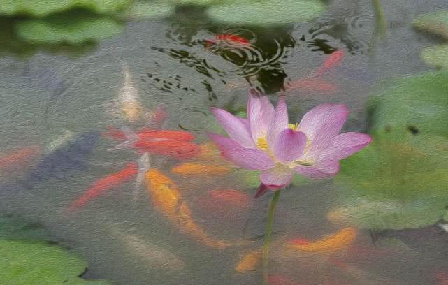 [属兔]未来100天，3生肖运势爆发，能创高更大事业奇迹，闷声发大财！