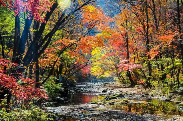 自驾|全国最早一波秋色来了!这6条自驾路线,9、10月美成天堂