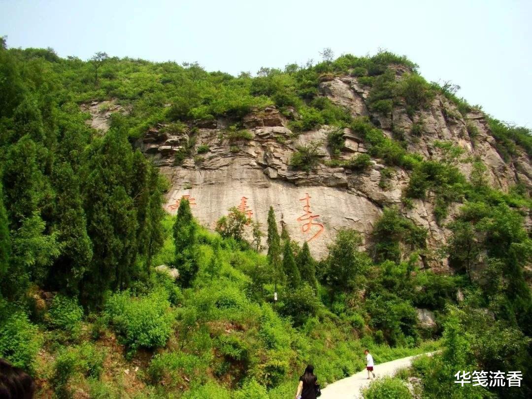 毒蛇|民间说法:凡毒蛇出没之处,7步之内必有解药。是否有科学依据