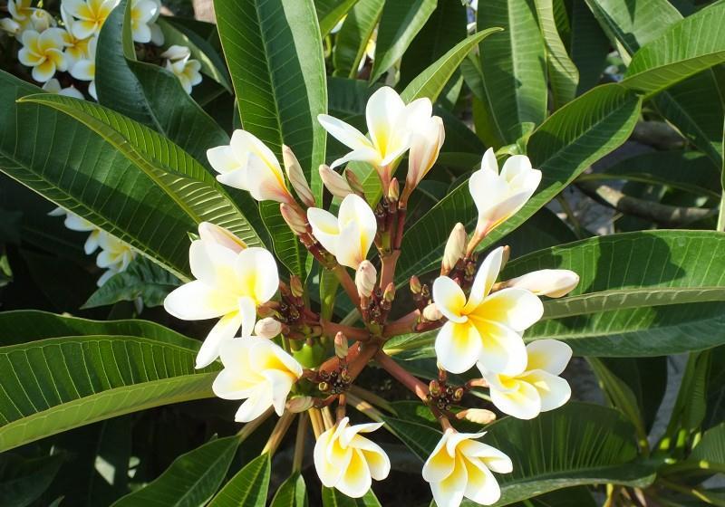 射手座|10月开始，桃花运将会十分旺盛，有机会遇到真正的爱情的四大星座