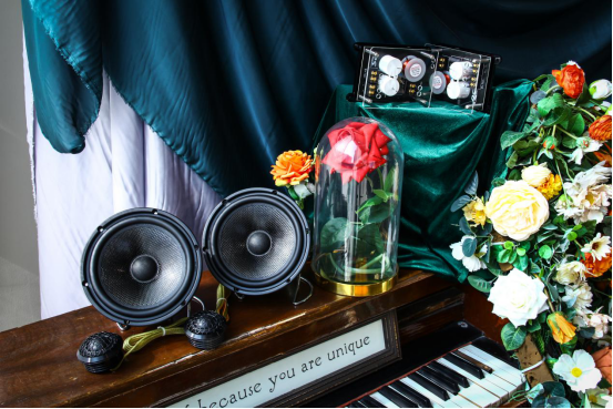 |U17康少：双音圈喇叭比单音圈喇叭好在哪里？仅仅是多一个音圈吗