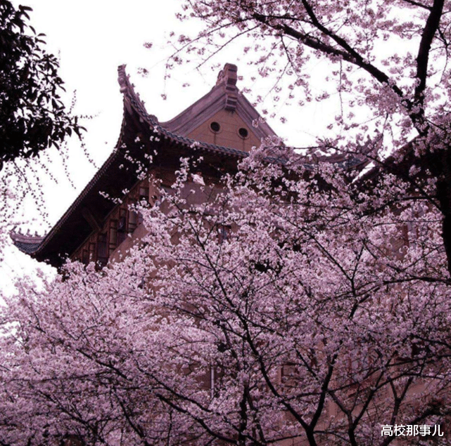 高校▲2020年，这4所大学很可能降分录取，都是一流大学，可重点关注