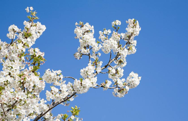 运势|9月中旬此三属相运势大好，财神爷关照，好运连连