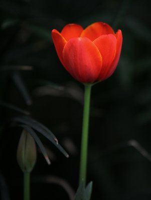 运势|未来三年家运越来越昌盛，4属相事业财运节节高，过上无忧生活