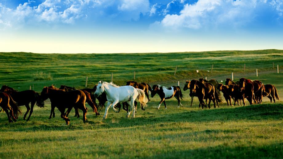 中国最早的“空城”出自这儿？房价从2万跌回原形，却依旧没人要