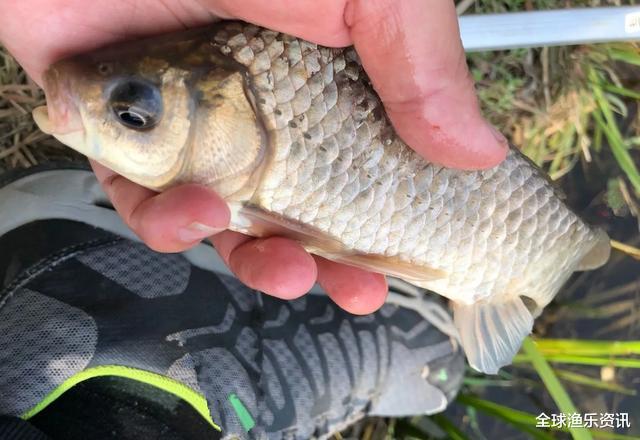 ：夏季野钓，选这五个钓点，下竿就有鱼，稳稳提高上钩率