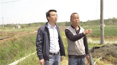 ▲万斤小龙虾滞销！村 “第一书记”带货1个月还是卖不掉！网友说...