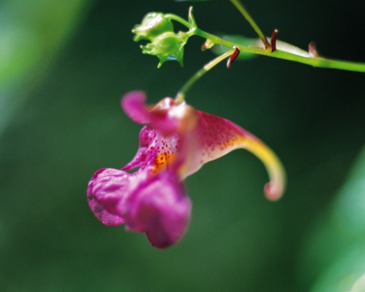 射手座|11月18号开始,3生肖喜事连连,财富如流,一路发大财!