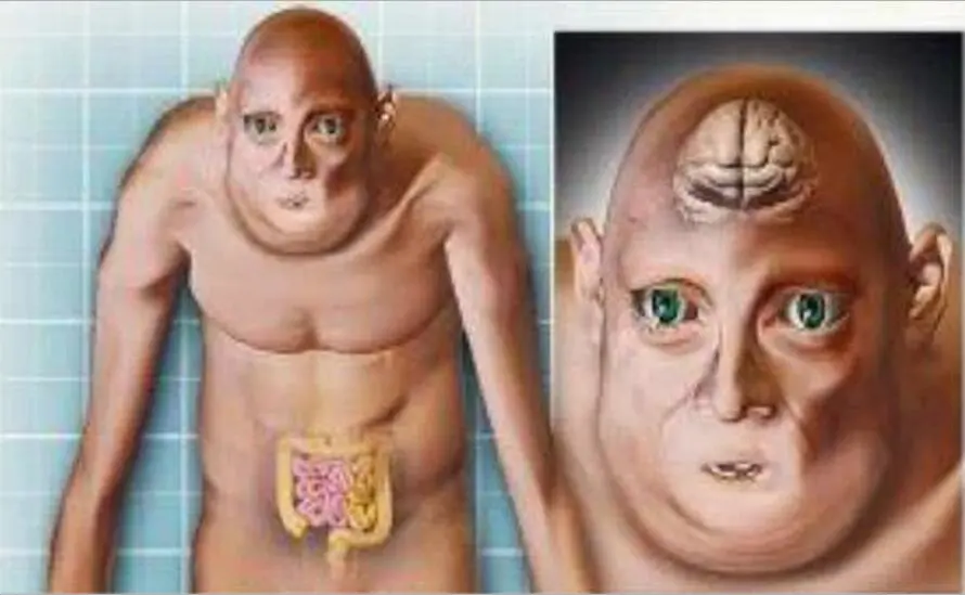 「外星人」一亿年后的人类可能长什么样？将有5种可能，网友：外星人？