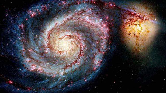 @高级文明对低级文明的态度：弄死你，和你有什么关系？