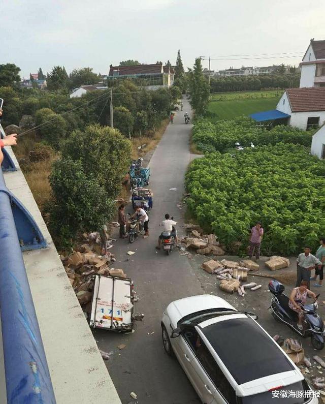 安徽海豚播报|货车遇车祸猪肉散一地，遭村民哄抢后想找回，村干部：可能都吃了