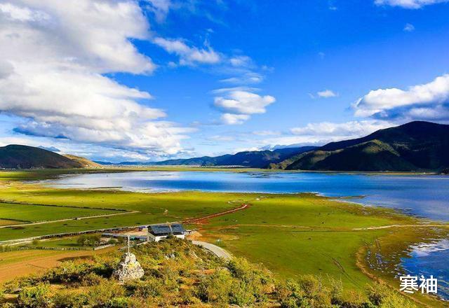 寒袖|千年云南古树长出“手臂”，“佛手”还是“鬼手”，网友结论不一