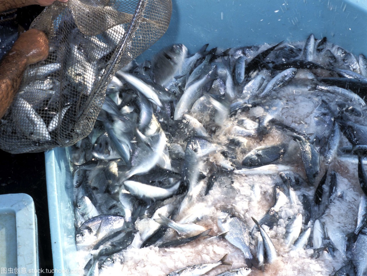 「军舰」航母的食物饮水补给从何而来，怎么保存呢。