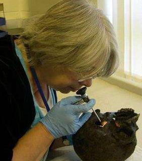 科学家@人类大脑能存活2600年？英国发现距今2600年的头颅，藏着什么秘密