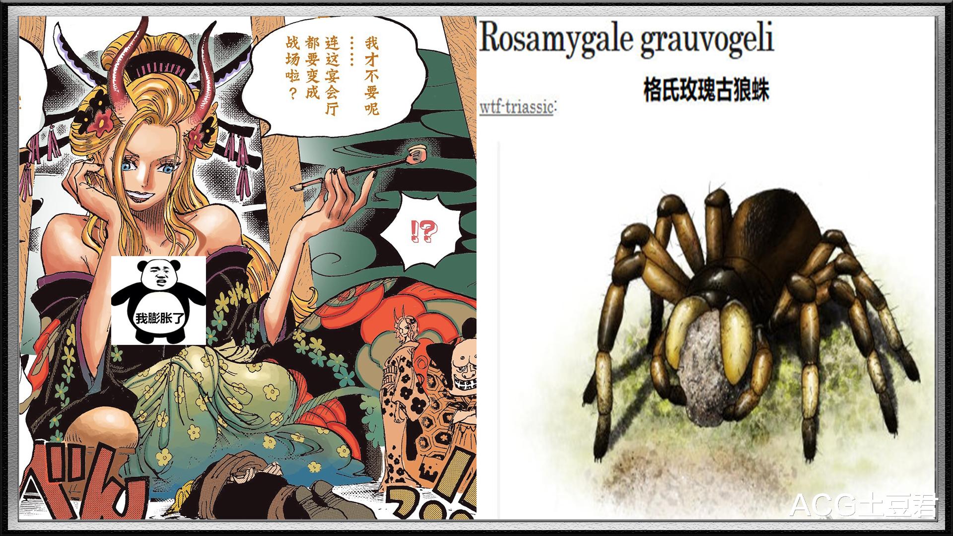 恶魔果实|海贼王：凌空六子的恶魔果实都代表什么古生物？看完确实佩服尾田