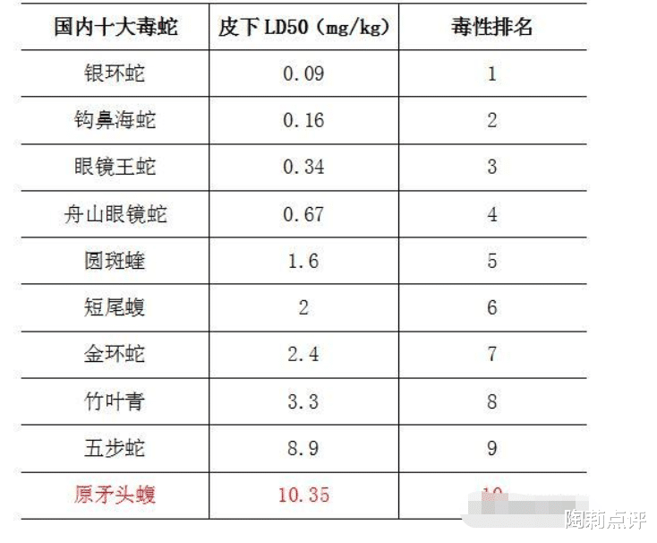 毒蛇|国内十大毒蛇之——原矛头蝮，为何毒性不强，却破坏力十足？