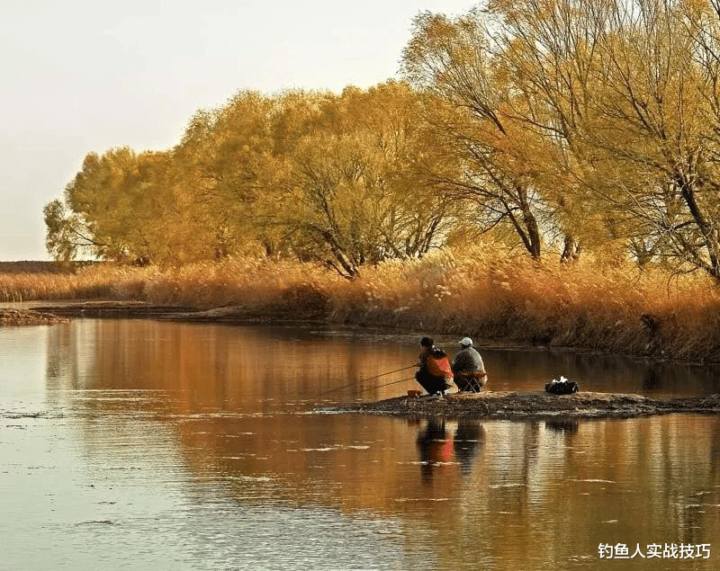 |立冬过后钓鱼难度很大,掌握好几点,也可以有个好的渔获