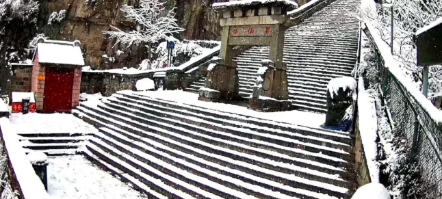 泰安|瑞雪丰年，国泰民安！看，泰安今冬第一场雪，下成这般仙境模样！