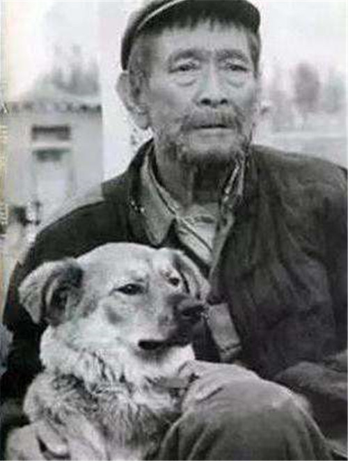 电影|27年前，他带狗参演谢晋电影《老人与狗》，拍完后，人狗皆被枪毙