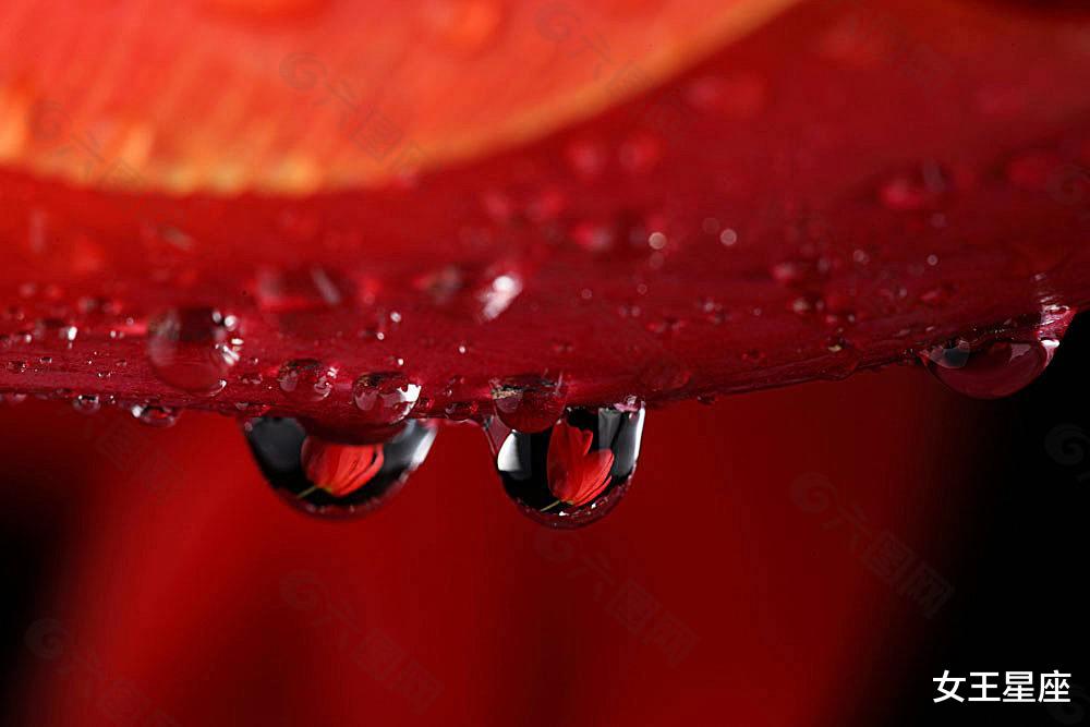 生肖▲恭喜!7月5号,3生肖大富大贵,事业大有成就,春风得意