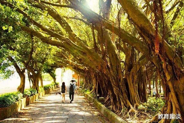 高校@最美丽的4所985高校，第1所令无数学子向往，第4所位于5A级景区