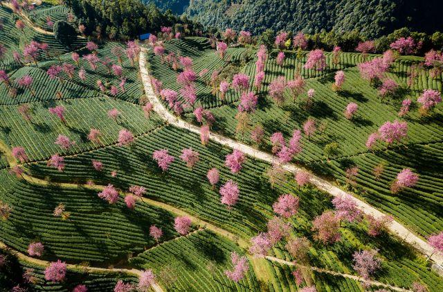 云南|错峰旅游，11月份最值得去的三大目的地，去过一个以上就是达人