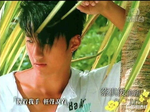 TVB|TVB曾经拍过三部偶像剧,男主角有的成一线小生,有的成路人