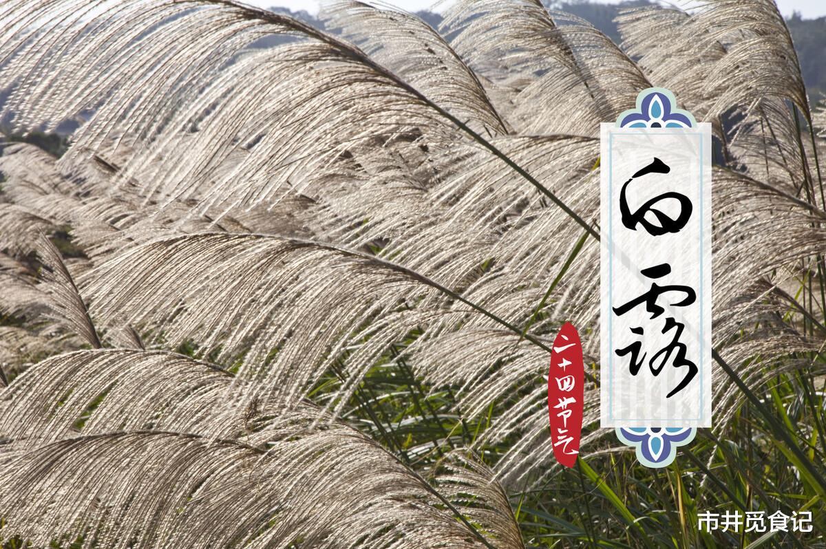 银耳|白露到了，“一果二肉三菜”记得吃，应季而食，顺应时节身体棒