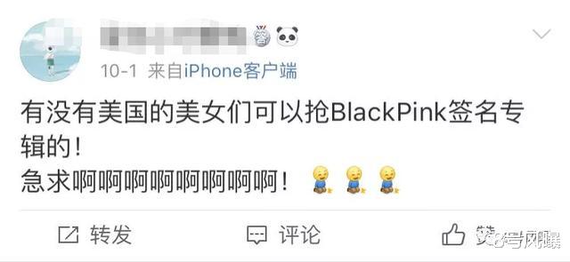blackpink|“半年五百个热搜，是头猪也红了！”