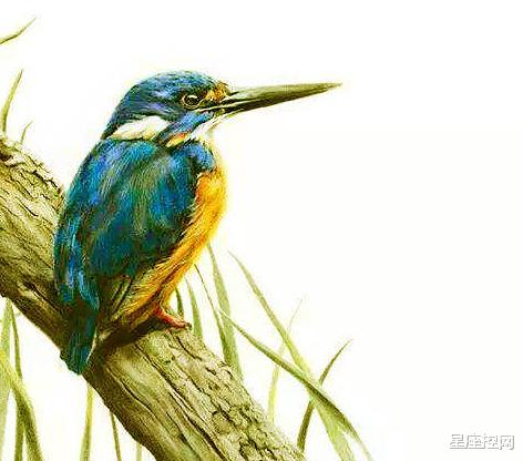 |阴历几月出生的人，事业上精益求精，保质保量，容易被重用做个官