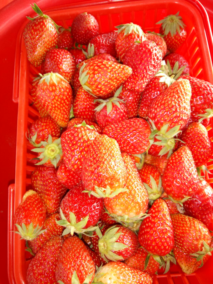 秦岭|秦岭扯袍峪森林公园攻略