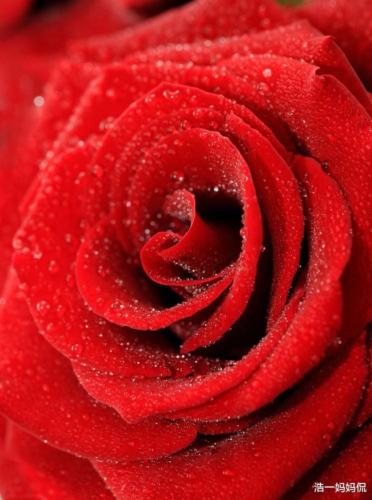 【生肖】去年穷今年富,3生肖最近七天有望收获满贯,横财滚滚,无比风光!