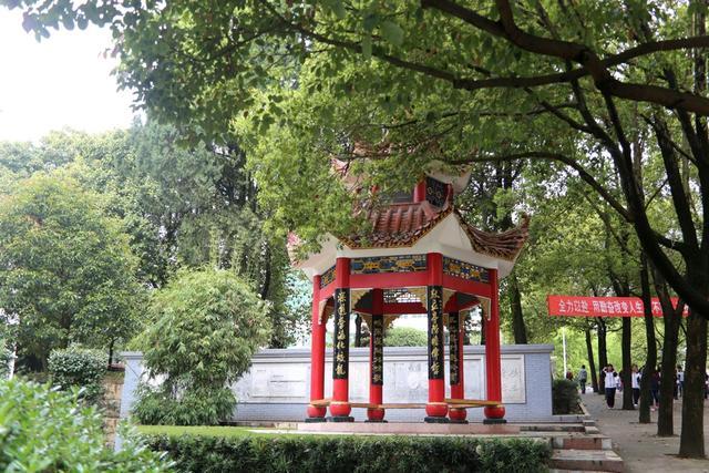 邵阳|湖南邵阳2020高考成绩，邵东一中势头强劲，包揽邵阳市文理状元