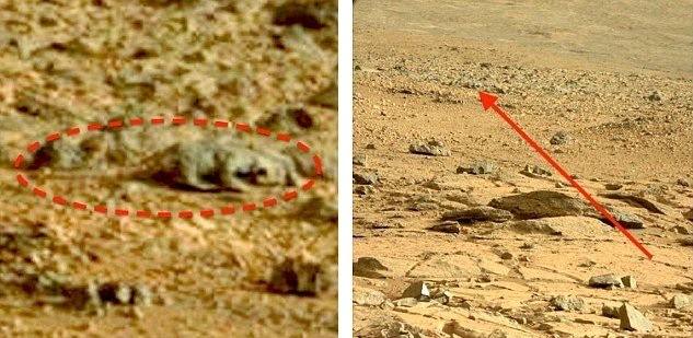 火星|美国火星15周年，机遇号发现“蜥蜴”？地下1000多个洞穴有生命？