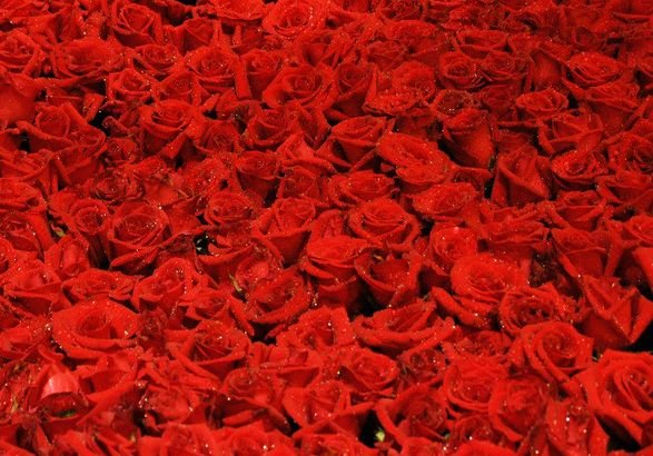 属鼠|未来一周，4属相好运连连，财运上升，好事不断，人生更精彩