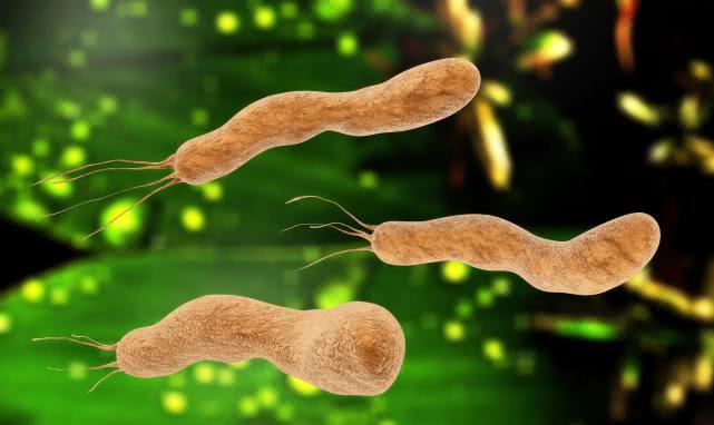 『胃病』胃病多年治不好，治胃先灭菌，1剂中药方，胃痛胃胀全消失