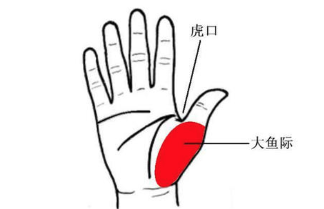 错位|锁骨一高一低，一上一下该如何调整？