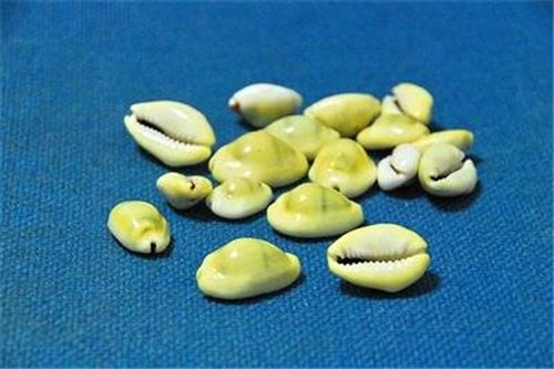 支付宝|“马老师”至今没想通:为啥街边摊贩喜欢用微信,而不是支付宝?