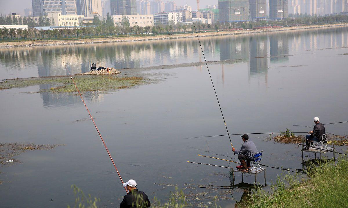 饵料|野钓：突然没鱼吃钩了咋办？出现这4种情况，恭喜您大鱼进窝了