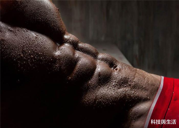 海洋生物|人类从海洋生物进化而来，事实真是如此？腹肌或是有力证据！