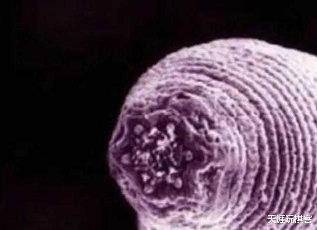 科学家@科学家:不该出现的东西还是出现了,地下3000米出现新生命?