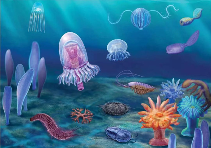 基因|所有生物不能永生的原因，都来源于“性”！