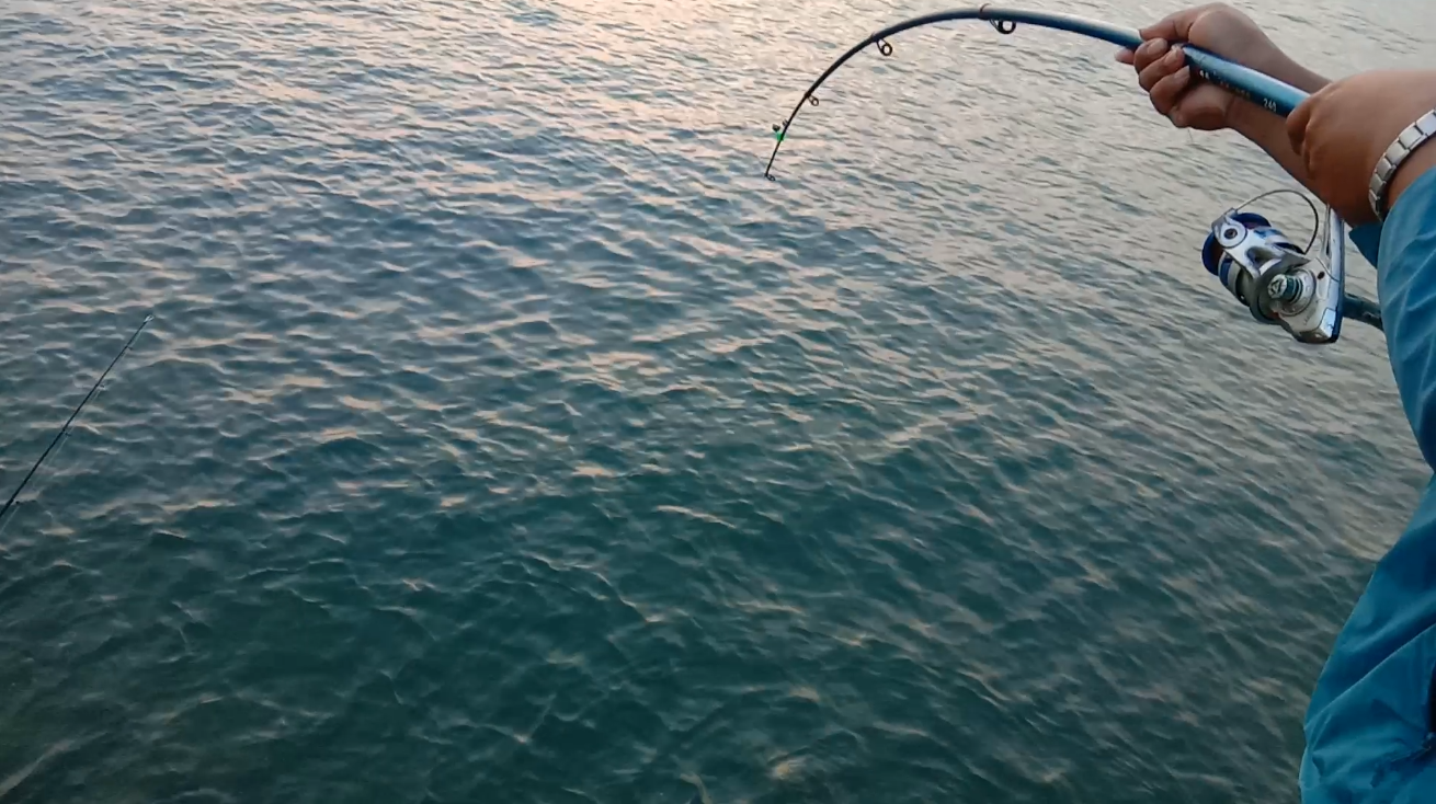 |给钓鱼人一封信，不要和新手去钓鱼，分分钟他中鱼而你只能看着