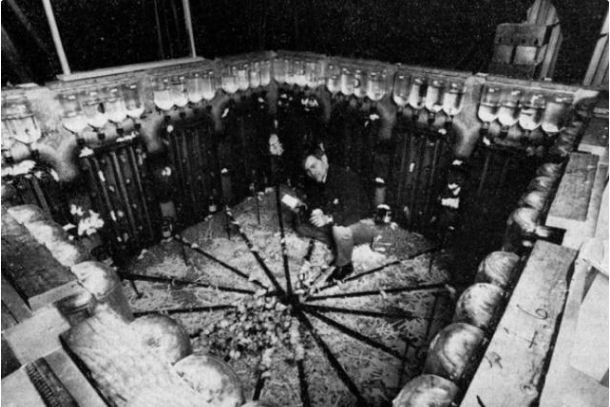 后代▲8只老鼠，一场持续了1780天的“荒诞”实验，真能揭露人类的未来？