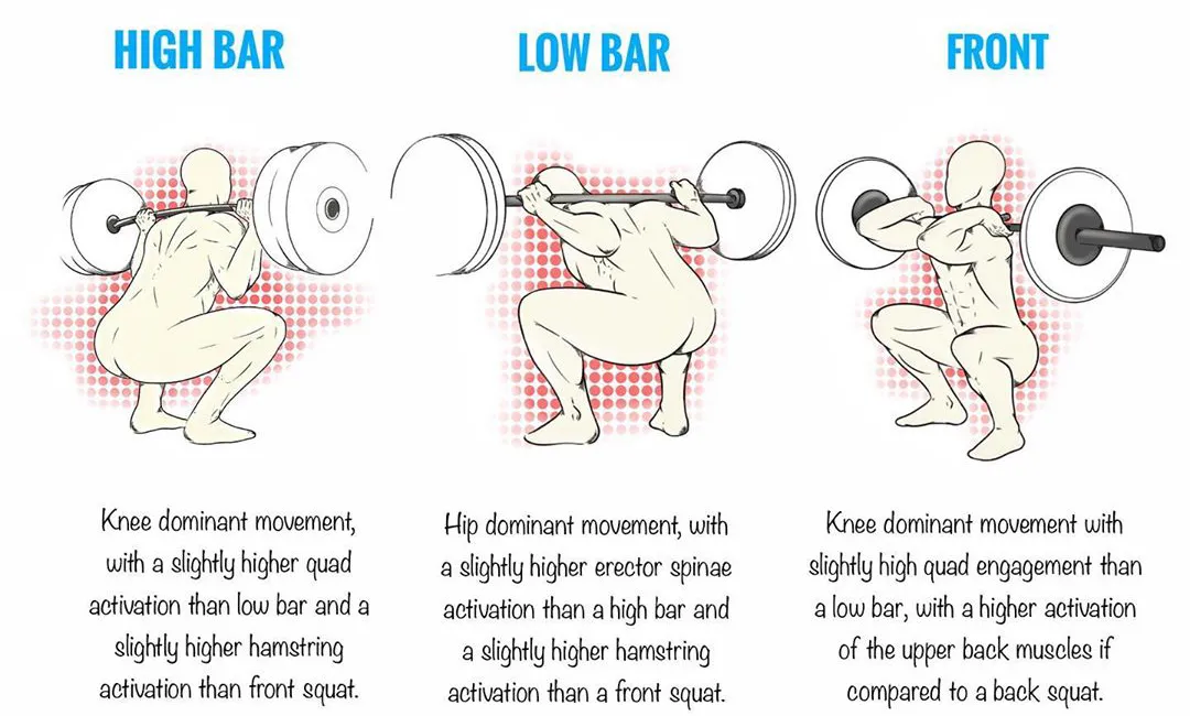 深蹲|男女都该多练的深蹲，你真的会练么？
