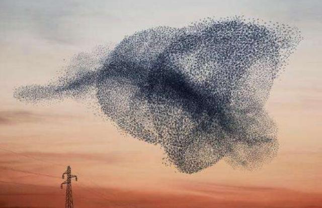 |中国向世界亮杀手锏，“蜂群作战”威力大震，美国承认自己做不到