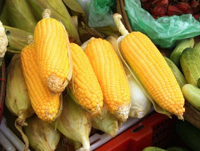辣椒|去市场买菜，高手从不对这3样下手，菜贩子：我从不给家里人吃！