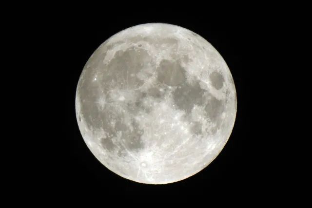 杭州日报|昨晚，杭州人的朋友圈又开始火拼手机...